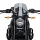 Foto 2 de CBRIS. NEW GENERATION SPORT INDIAN FTR 1200 19-