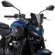 Foto 1 de CBRIS NEW GENERATION SPORT YAMAHA MT-07 25 CCARB
