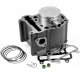 Foto 1 de CILINDRO YAMAHA XMAX  MAJESTY 250CC 1996-2003 D.69mm ( OEM 4HC-11311-00-00  )