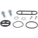 Foto 1 de KIT REPARACION GRIFO DE GASOLINA ALL BALLS (60-1000)