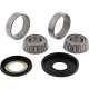 Foto 1 de KIT RODAMIENTOS DE COLUMNA DE DIRECCION ALL BALLS - 22-1005 (22-1083)