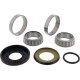 Foto 1 de KIT RODAMIENTOS DE COLUMNA DE DIRECCION ALL BALLS - 22-1006 (22-1081)