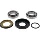 Foto 2 de KIT RODAMIENTOS DE COLUMNA DE DIRECCION ALL BALLS - 22-1006 (22-1081)
