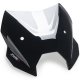 Foto 1 de PUIG 22710W CARENABRIS NEW GENERATION SPORT BMW R1300R 25 CTRANSPARENTE