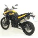 Foto 3 de SILENCIADOR ALLUMINIO RACE-TECH BMW F 650 GS08-12 BMW F 800 GS09-13 CON FOND. CARBY OMOLOGATA