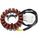 Foto 1 de STATOR HONDA  SWING 125-150CC 2007-2012  (OEM  31120-KRJ-791 )