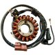 Foto 1 de STATOR MOTOR PIAGGIO 250 4T