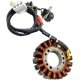Foto 1 de STATOR SYM GTS 300 JOYMAX