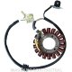 Foto 1 de STATOR YAMAHA T-MAX 500 (0103)